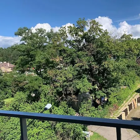 New With Art Collection Vilnius