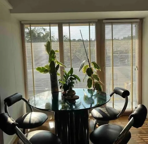 New With Art Collection * Vilnius