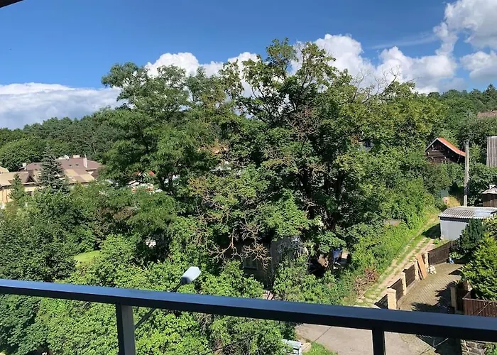 New With Art Collection Vilnius