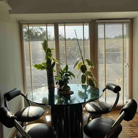 New With Art Collection * 빌뉴스